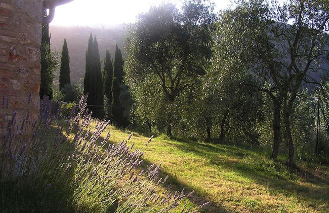 Charming House in Tuscany With Pool & Views - Foto 21