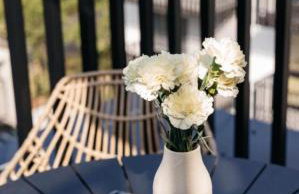 Baltic Line Morska Bryza - Photo 61