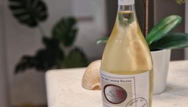 Il Leone Rosso over the hills of the Trabocchi - Foto 2