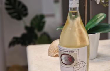 Il Leone Rosso over the hills of the Trabocchi - Foto 2