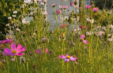 Katikies Savrani - Foto 38