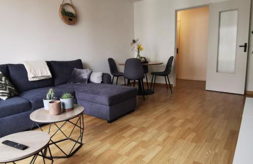 meublé du Plateau - Nancy centre Gare Tgv - Foto 8