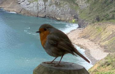 Agroturismo Urresti - Foto 111