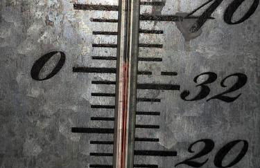 L'atypique du buisson de la gariole - Foto 64