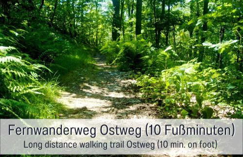 Schindelhäusle: sonniger Garten | Hunde erlaubt - Foto 64