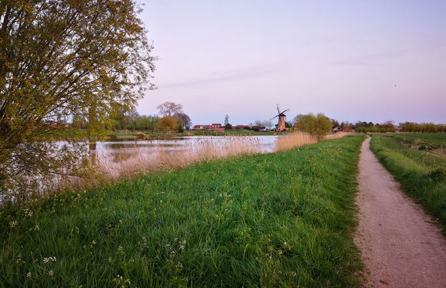 2 bedroom House in Schoondijke with garden and terrace - Photo 33