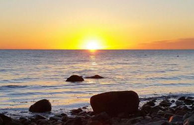 Ferienbauernhof Liesenberg Meerblickhaus Strandmuschel - Foto 48
