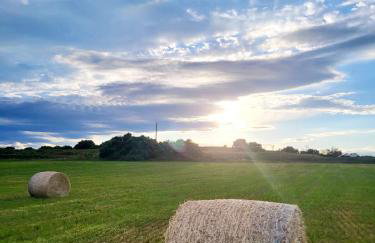 Country and family villa - Foto 15