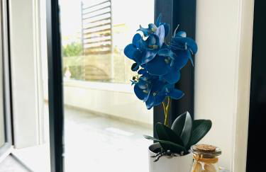 Blue Orchid Apartment, IUN S8460 - Foto 49