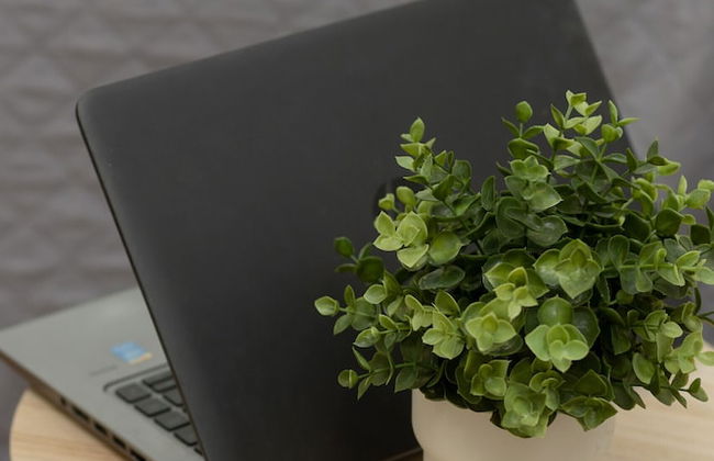 Studio Nocznickiego 2 Guests by Renters - Foto 19