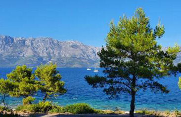 Marija Holiday Home - Foto 2