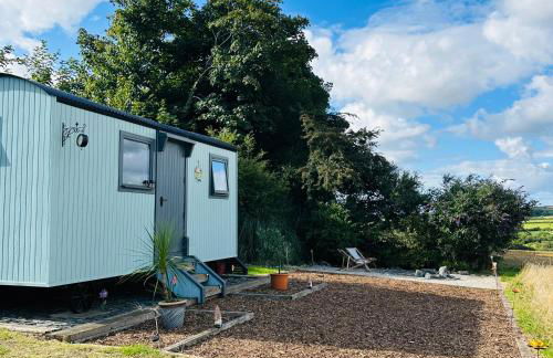 Harpers Huts - Zara - Foto 1