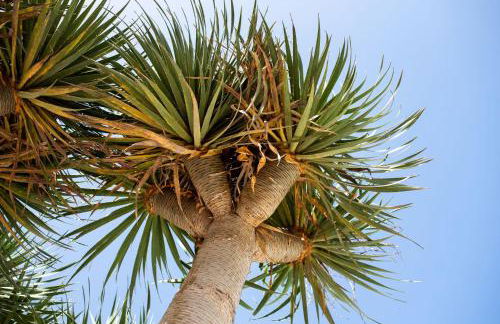 Drago by AGM Resorts - Foto 18