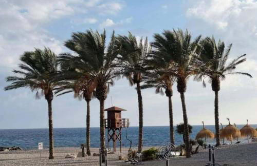 Rosa Apartman - Foto 1