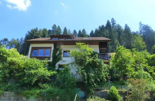 Ferienwohnungen in Schönmünzach - Photo 17