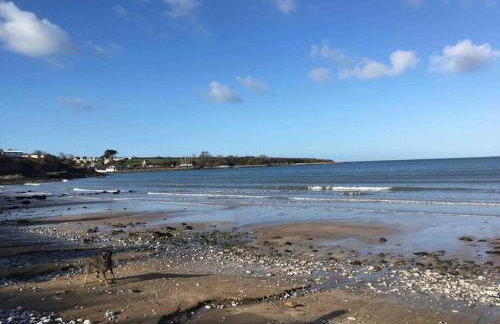 Benllech Sea View bungalow, Dog Friendly sleeps 6 - Foto 35