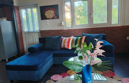 ColoR Living - loft & yard - Foto 20