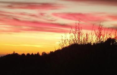 Casa Renacci - Foto 27