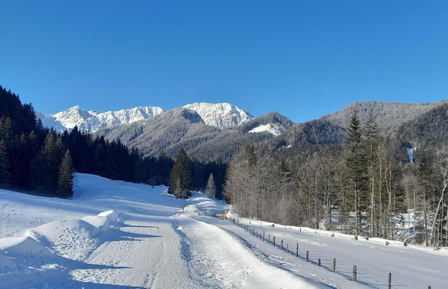 Secluded Apartment in Ferlach near Bodental Ski Lift - Photo 27