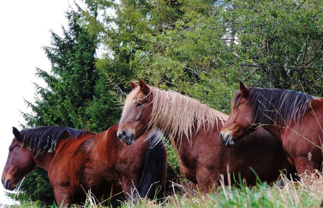 Casa Angelo - Foto 14