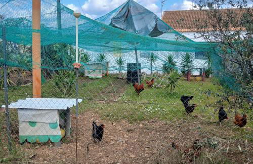 Casa de campo en finca La Guindilla - Foto 63