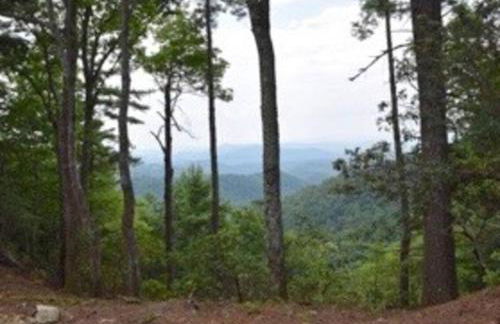 Elkhorn Rustic Blowing Rock Cabin Amazing Views - Foto 40