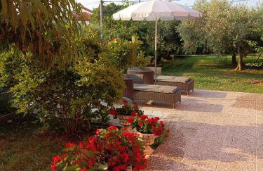 Apartment Dorina - Foto 7