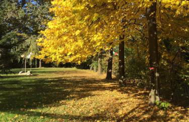 Happy hill - appartamento Quercia - natura e relax - Foto 38