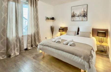 T1 calme et confort Avenue Garibaldi - DABNB - Foto 1