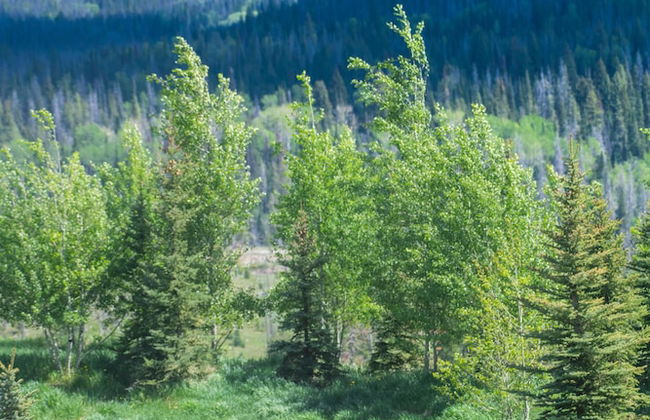 Vista Verde Ranch All-inclusive - Adults Only - Foto 40