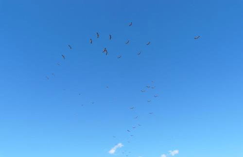 Cortijo La Estrella - Foto 42