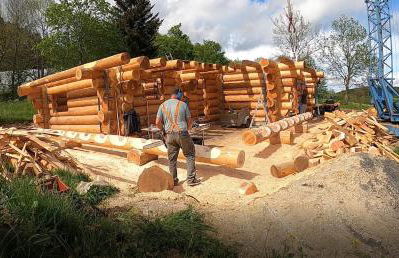 Wood log chalet - Foto 64