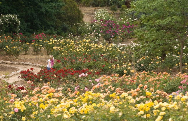 The Residence at Barossa Chateau - Foto 19