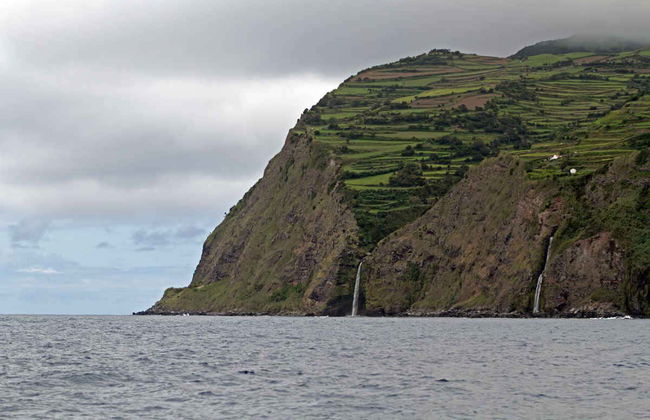 Private Tour of São Jorge - Photo 6