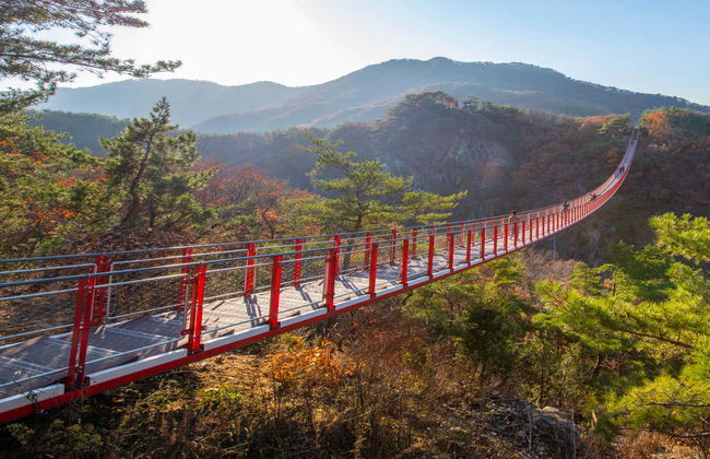 Korea DMZ Tour - Photo 7