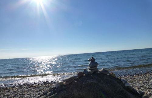 Haus am Dorfteich Kopendorf, Wohnung 2 - Foto 15