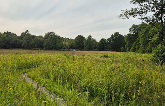 4 Star Holiday Home in Hovborg - Foto 9