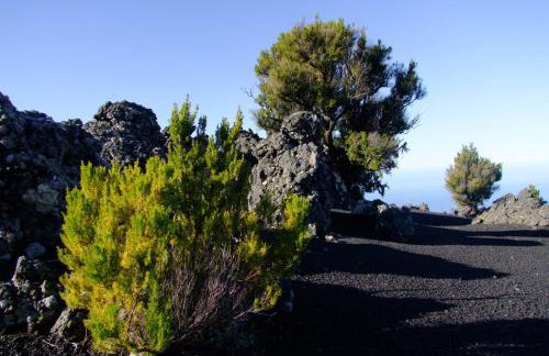 Villas Las Cercas - Photo 70