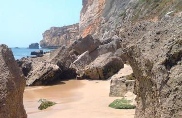 West coast dream Nazare - Foto 39