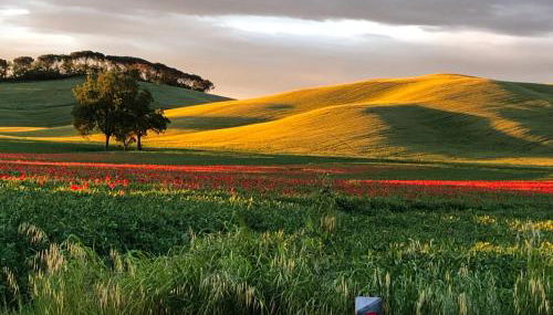 Tuscany Charme Boutique House - Foto 5