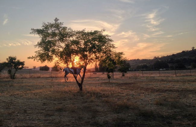 Finca La vega - Foto 68