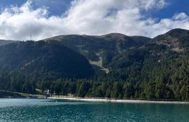 refugio en el bosque - Foto 11