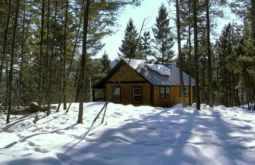 Inviting Family-Friendly Cabin Rental for Four on Flathead Lake in Montana - Foto 18