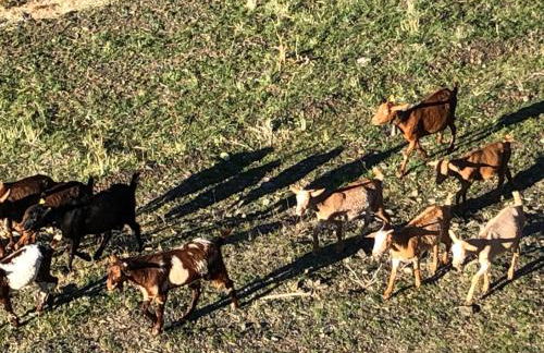 Casa Mamica Rosario - Foto 16