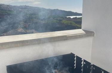 Musa Paradisiaca - Foto 37