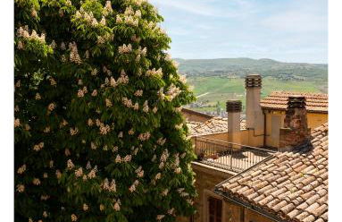 Il Grottino Relais & Spa - Foto 38