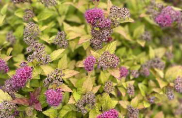 Galloway Farmstay Claunch - Foto 26