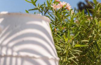 Anthokipos Pool Villa - Foto 79