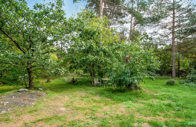 "Fiallar" - 7.5km from the sea - Foto 8