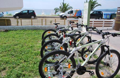 Eco Green Living - Foto 2